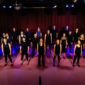 VOISZ Vocal Projects